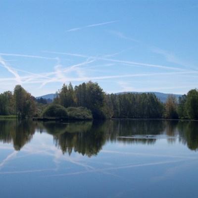 乐鱼体育娱乐登录旗舰版